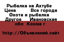 Рыбалка на Ахтубе › Цена ­ 500 - Все города Охота и рыбалка » Другое   . Ивановская обл.,Кохма г.